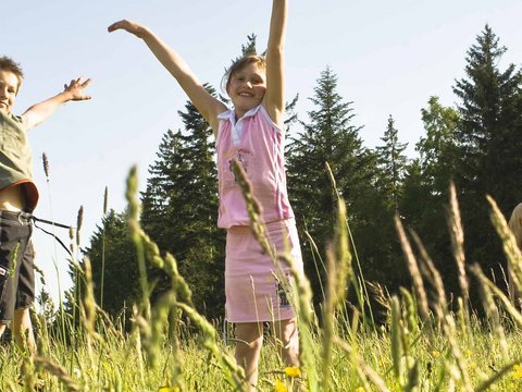 Der Bayerische Wald - Natur pur für die ganze Familie