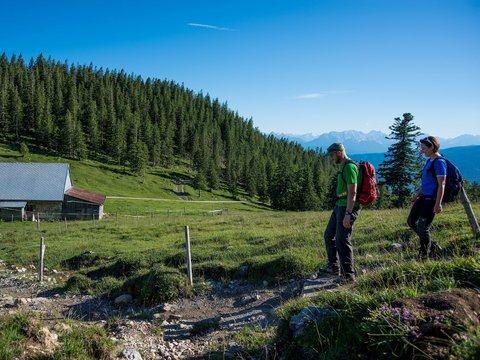 Urlaub auf der Alm