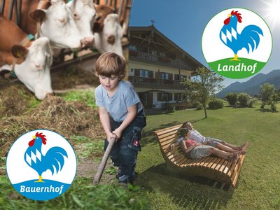 Collage zur Unterscheidung Bauernhof Landhof © Blauer Gockel Collage zur Unterscheidung von Bauernhofurlaub und Landurlaub
